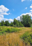 Działka budowlana Grabówka 1228m2 Grabówka - zdjęcie 2