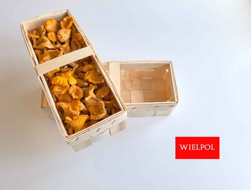 Opakowania do grzybów kurek / pieprznik jadalny / kurki Wielichowo - zdjęcie 2