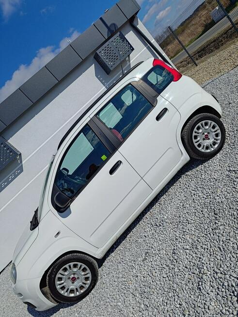 Fiat Panda 1.2 1Wł Salon PL Miękinia - zdjęcie 5