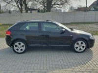 Audi A3 2.0tdi 140KM Skóra Klima Alu17 Raty Zamiana. Strobice - zdjęcie 10
