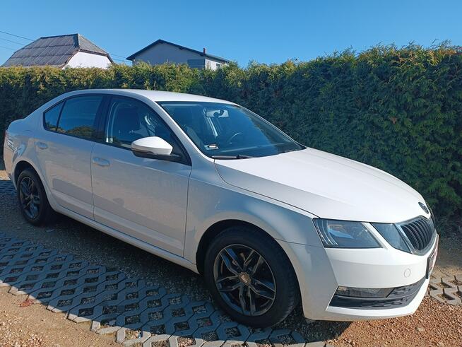 Škoda Octavia krajowa Chełm Śląski - zdjęcie 6