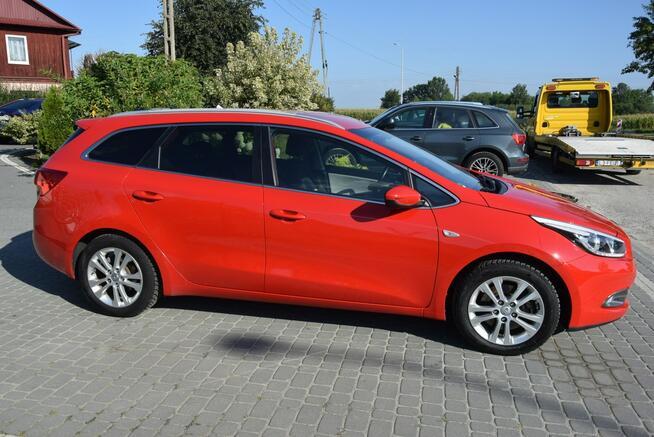Kia Cee'd 1.4B 2014r Led Navi Kamera Super Stan Sprowadzony Majdan Sieniawski - zdjęcie 12