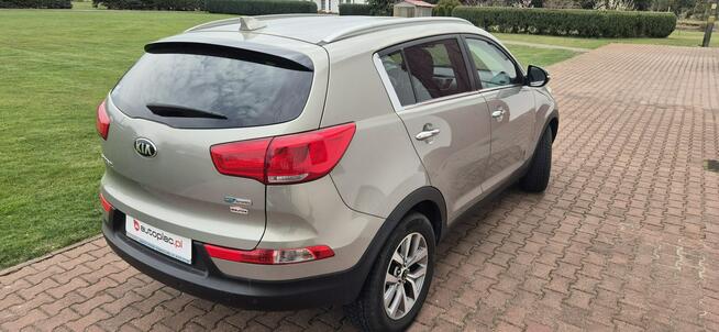 Kia Sportage ŚWIETNY STAN-KAMERA-NAVI-NAGŁOSNIENIE Paproć - zdjęcie 8