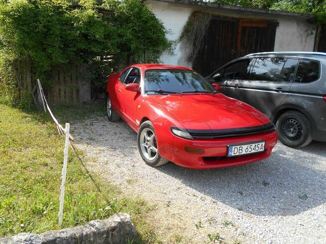 Celiica Wierzchucino - zdjęcie 9