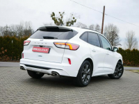 Ford Kuga 2.0 EcoBlue 120KM Eu6 St-Line -Automat 8b. -Zobacz Goczałkowice-Zdrój - zdjęcie 3