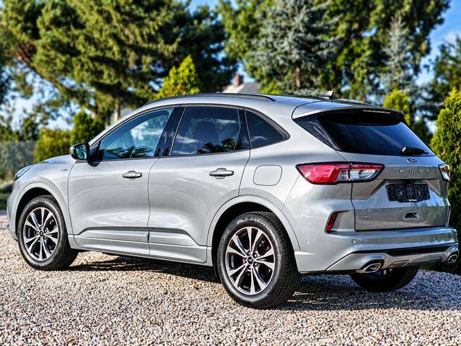 Ford Kuga Sadlno - zdjęcie 6