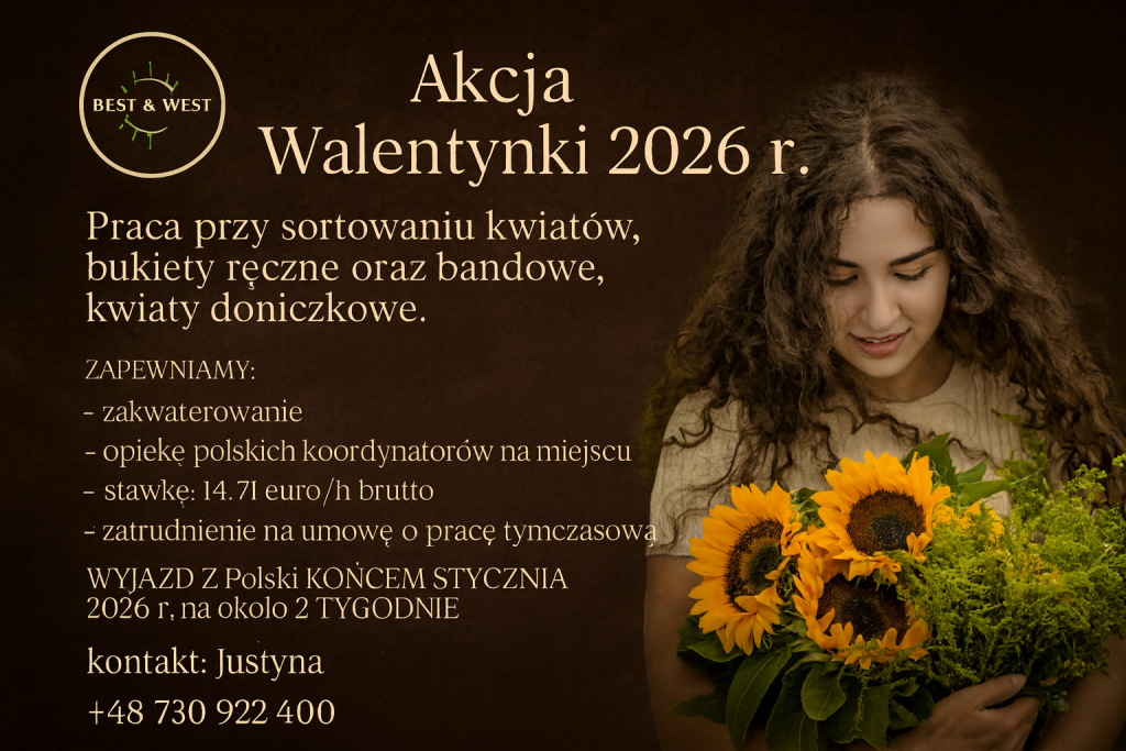 Praca przy kwiatach – Wyjazd na ok. 2 tygodnie! Opole - zdjęcie 1