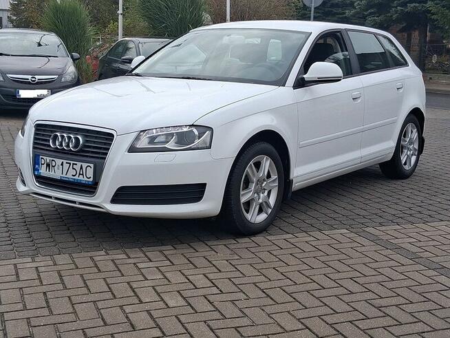 Audi A3 1.6 102 KM Salon Polska TYLKO 106000 KM Przebiegu Kl Słupca - zdjęcie 2