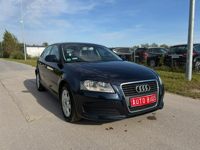 Audi A3 Automat Climatronic zarejestrowane Lębork - zdjęcie 2