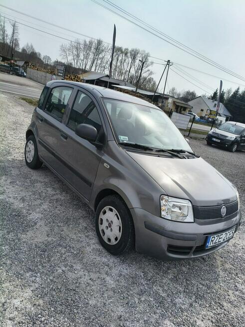 Fiat Panda 1.25 benzyna/ 2011r/ Klima/ Wspomaganie Tarnogród - zdjęcie 4
