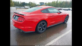 Ford Mustang GT PREMIUM / Automat / 5.0 V8 Wrocław - zdjęcie 4
