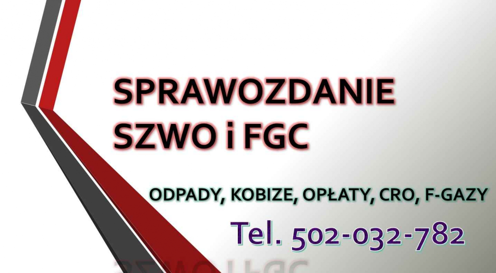 Baza Danych Sprawozdań, cena tel. 504-746-203. Obsługa firmy, fgazy Psie Pole - zdjęcie 6