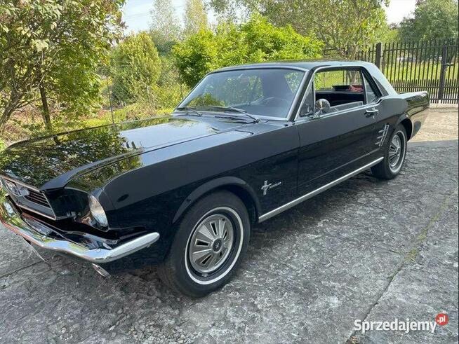 Ford Mustang 1966 – Oryginał po renowacji Radom - zdjęcie 4