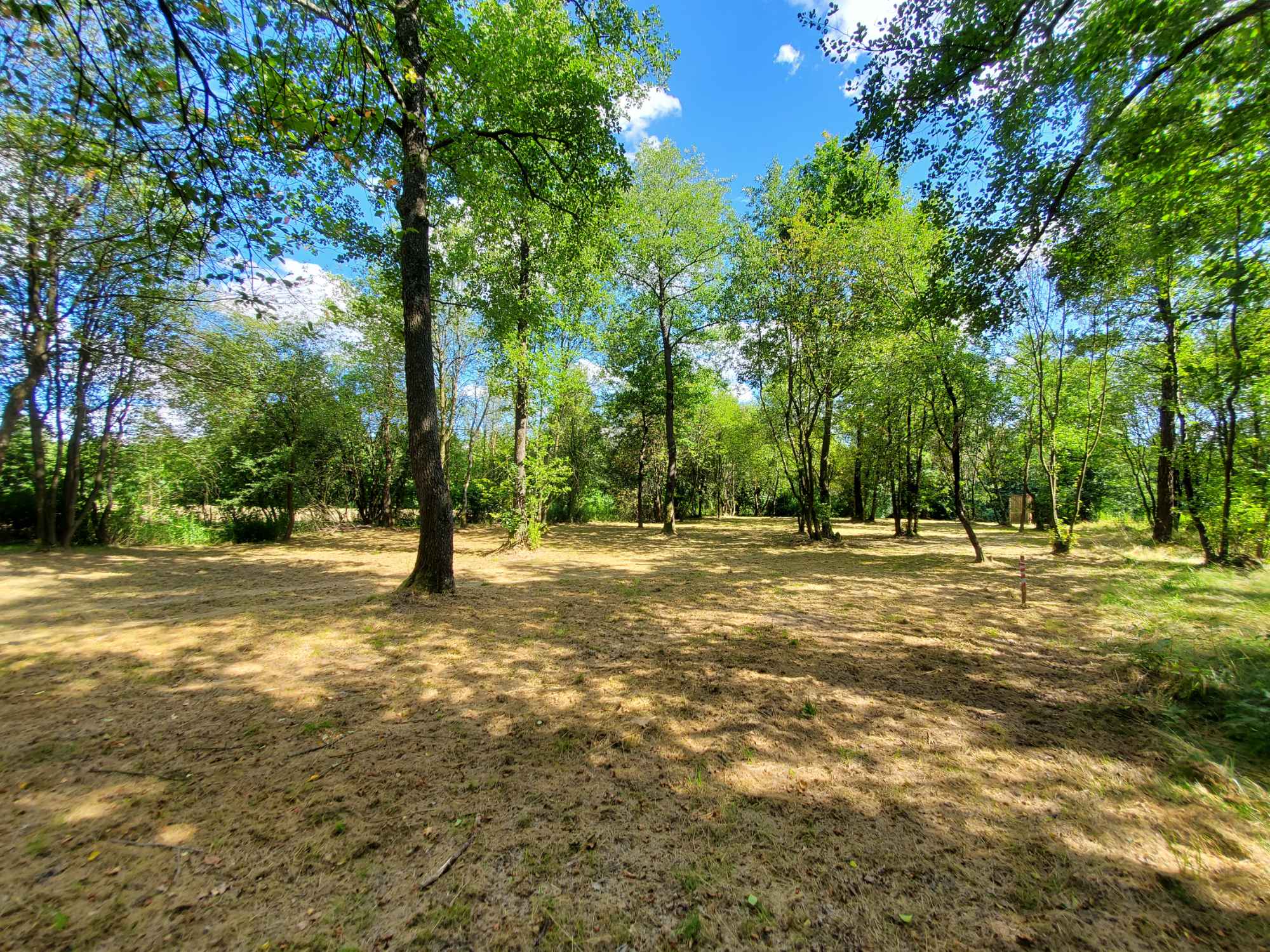 Działka rekreacyjna 30 arów nad rzeką lubaczówka. Czerwona Wola - zdjęcie 5