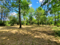 Działka rekreacyjna 30 arów nad rzeką lubaczówka. Czerwona Wola - zdjęcie 5