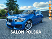 BMW 118 SALON POLSKA Klimatronic FULL LED  Bluetooth Tempomat Alu
