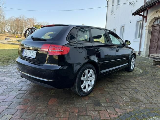 Audi A3 1.6MPI 102KM Sportback z Niemiec Zadbany Facelift Ocice - zdjęcie 4