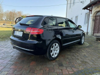 Audi A3 1.6MPI 102KM Sportback z Niemiec Zadbany Facelift Ocice - zdjęcie 4