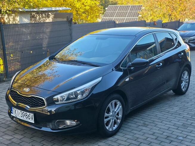 Kia Cee'd 1.4 Benzyna | Serwisowany | Bogate wyposażenie | Piekoszów - zdjęcie 1