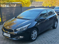 Kia Cee'd 1.4 Benzyna | Serwisowany | Bogate wyposażenie |