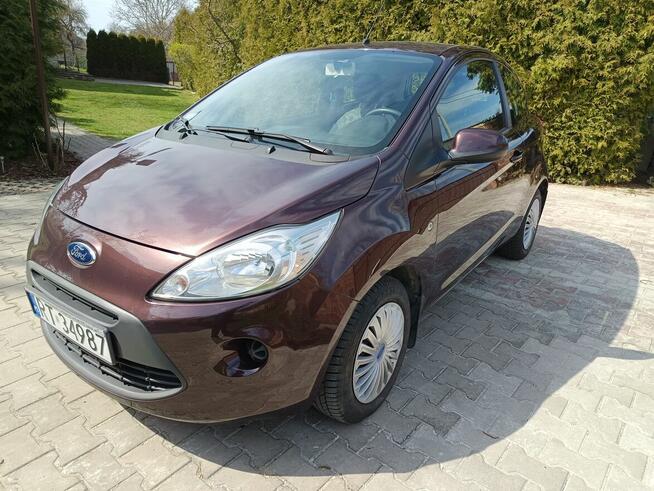Ford KA 1.2 Oryginalny lakier mały przebieg Szydłowiec - zdjęcie 3
