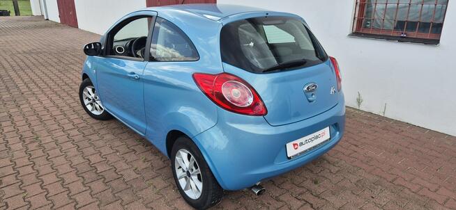 Ford KA GRZANE FOTELE Paproć - zdjęcie 5