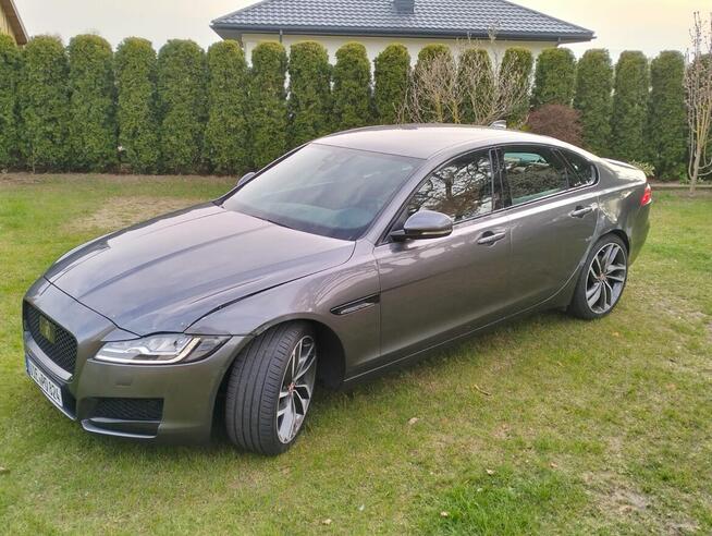 Jaguar Xf 2.D 2016r Radom - zdjęcie 5