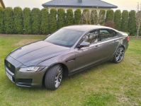 Jaguar Xf 2.D 2016r Radom - zdjęcie 5