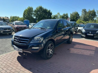 Mercedes ML 350 Salon Polska, Gwarancja, Super stan Sade Budy - zdjęcie 7