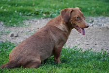 Kuba - wulkan energi szukający swojego miejsca na ziemi Łętkowice - zdjęcie 3