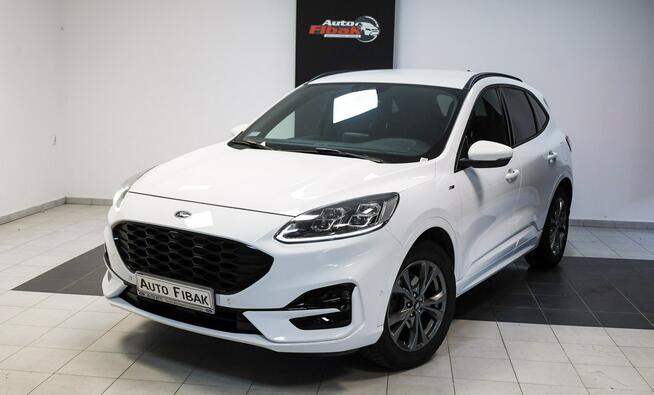 Ford Kuga ST-Line*Salon Polska*Bezwypadkowy*Bang&amp;Olufsen*Vat23% Konstantynów Łódzki - zdjęcie 2
