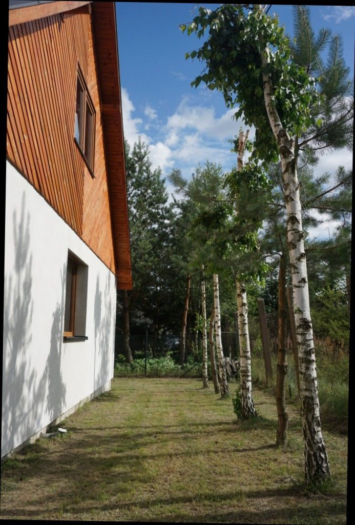 Spokój, natura …piękne okoliczności przyrody Głodowo - zdjęcie 10