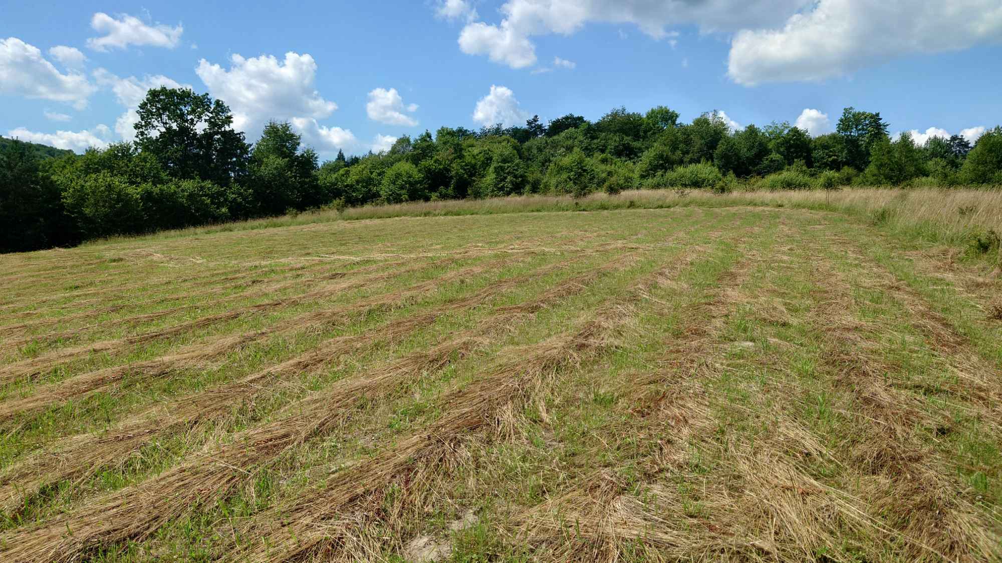 Działka BUDOWLANA, Bieszczady, Bóbrka, k. SOLINA Bóbrka - zdjęcie 6