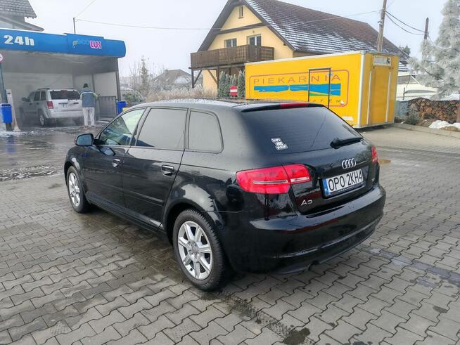 Audi, A3,2.0,TDI,140 Chróścina - zdjęcie 7