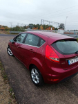 Ford Fiesta Psie Pole - zdjęcie 11