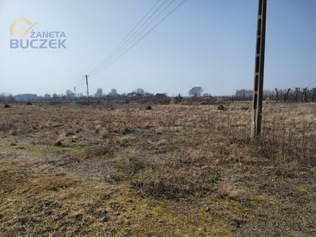 Sprzedam działki z WZ w Skarbikowie Skarbikowo - zdjęcie 6