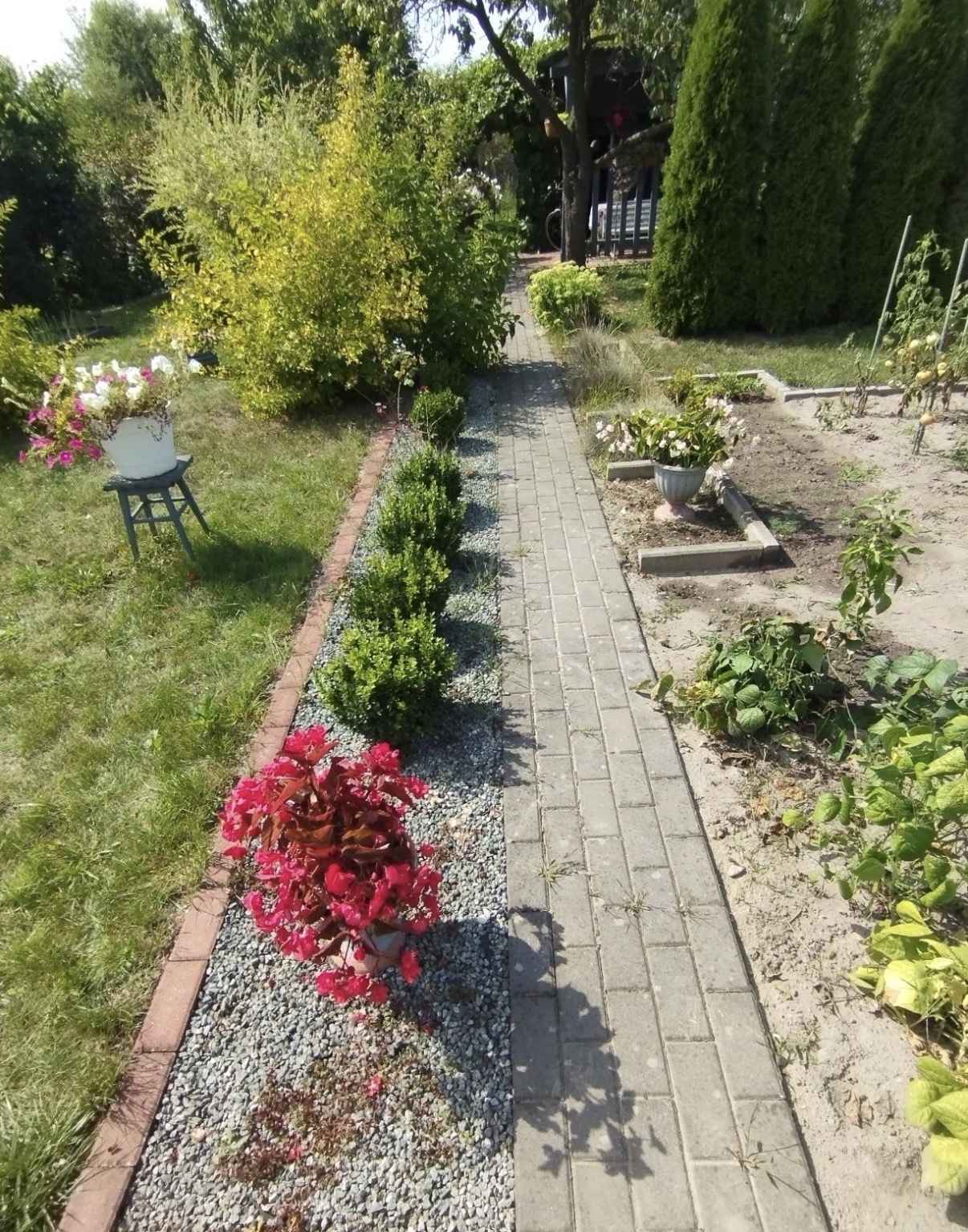 Działka Rekreacyjna (300 m2) ul. Norwida ALTANKA (Kluczbork) Kluczbork - zdjęcie 3