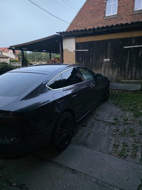 Sprzedam Przytoczna - zdjęcie 5