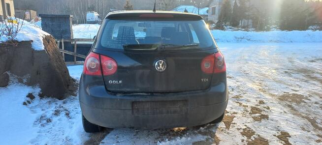 Volkswagen Golf V Konin - zdjęcie 5