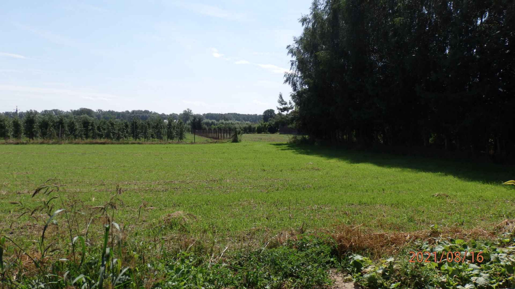 Sprzedam działkę budowlano inwest.z atrakcyjnym Warunkami Zabudowy. Świecie - zdjęcie 2