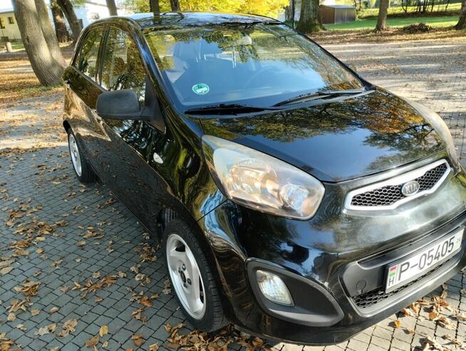 Kia Picanto 1.0 2011 Dębica - zdjęcie 11