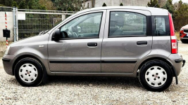 Fiat Panda Klima Wspomaganie Gwarancja Kutno - zdjęcie 3