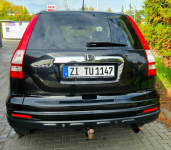 CR-V 2.0 150KM EXECUTIVE 4x4 KAMERA LED PDC KLIMA ASO IMPORT RATY Łęczyca - zdjęcie 11