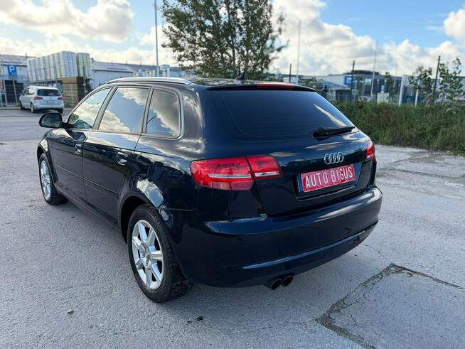 Audi A3 Climatronic   wymieniony rozrząd ledy xsenon automat navi Lębork - zdjęcie 6