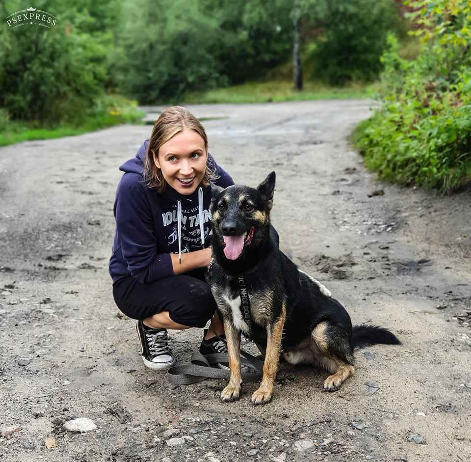 Niezwykle majestatyczny, super przyjazny pies do adopcji! Śródmieście - zdjęcie 6