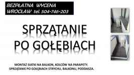 Sprzątanie balkonu. T 504-746-203. z gołębi, ptaków, odchodów. Wrocław Psie Pole - zdjęcie 3