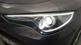 Alfa Romeo Stelvio 2.2 JTDM Super Q4 ! Z polskiego salonu ! FV 23% Warszawa - zdjęcie 10