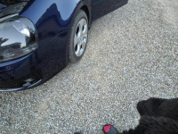 Vw golf gti Łącko - zdjęcie 11