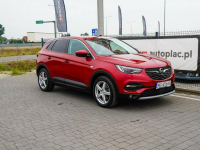 Opel Grandland X Lipówki - zdjęcie 1