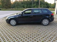 Audi a 3 8p 1.9tdi bxe Starogard Gdański - zdjęcie 3